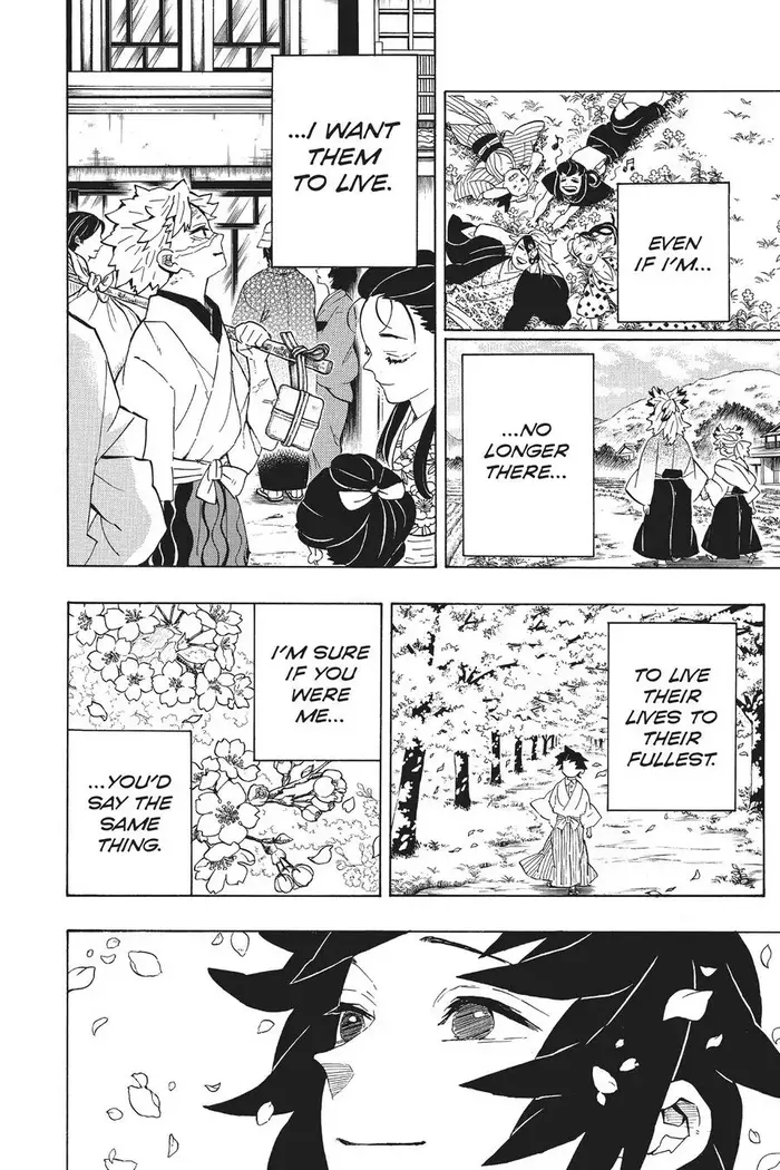 Demon Slayer Chapter 204 image 33_optimized